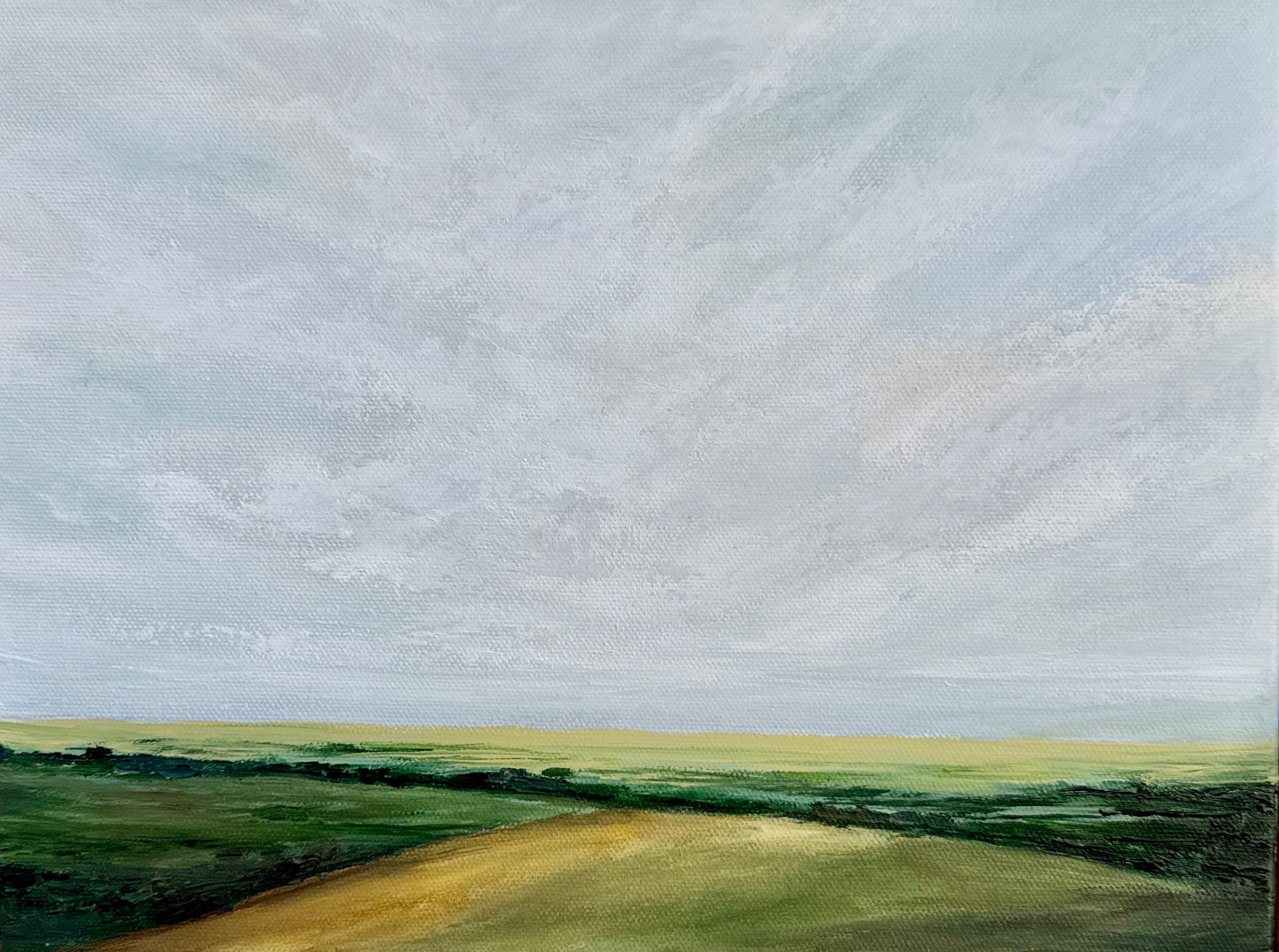 Morning at the meadow