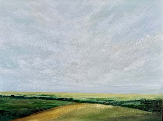 Morning at the meadow
