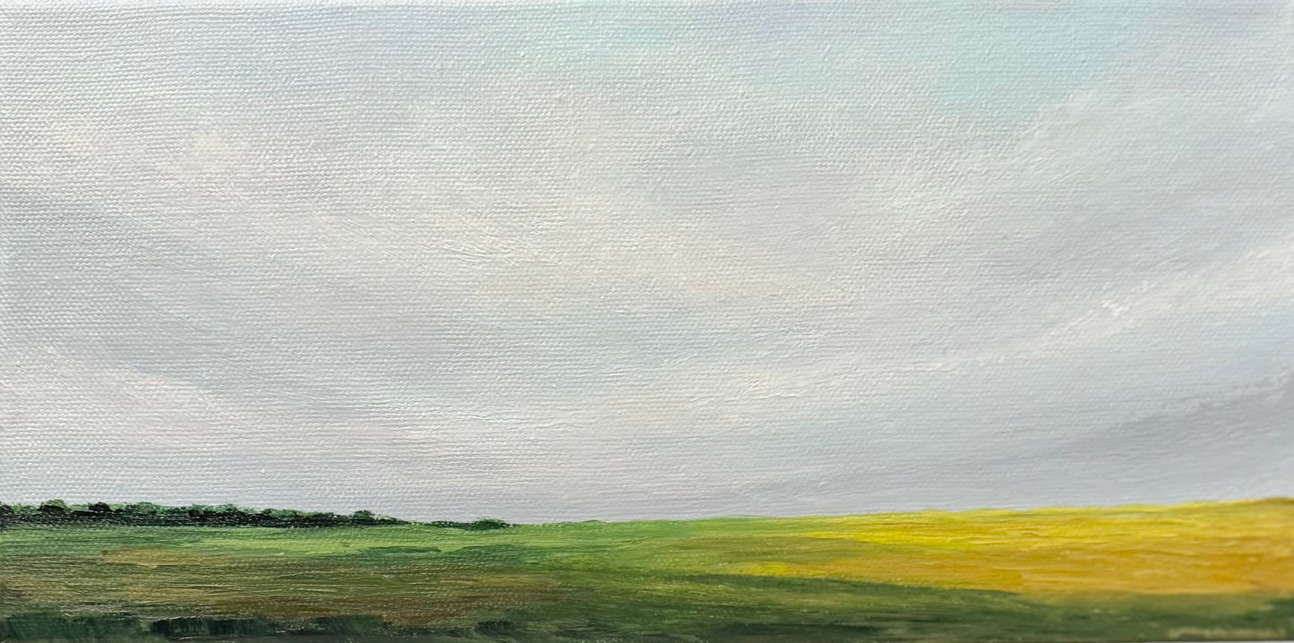 Open valley